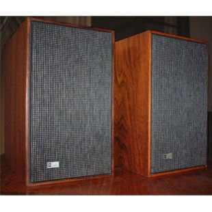 BeoVox 1100