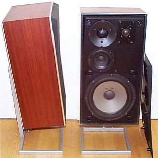 BeoVox S75