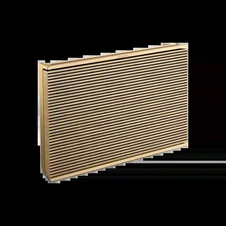 BeoSound Level
