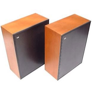 BeoVox 1001