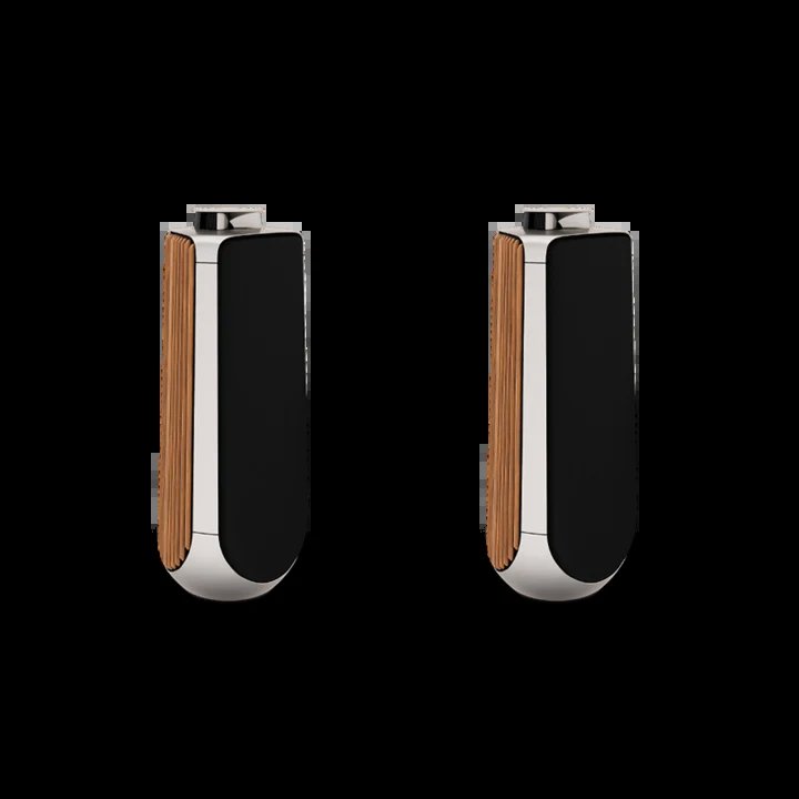 BeoLab 50
