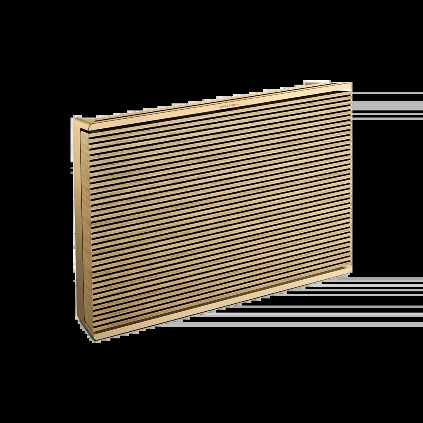 BeoSound Level