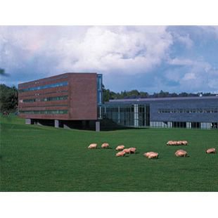 Headquarters