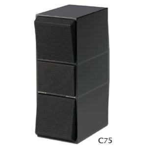 BeoVox C30