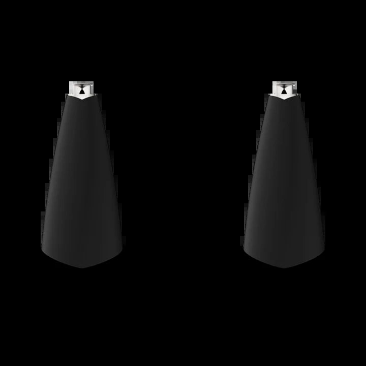 BeoLab 20
