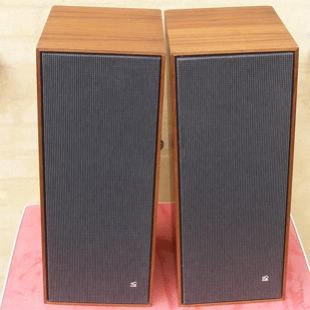 BeoVox 1200
