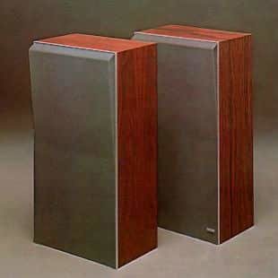 Beovox S30