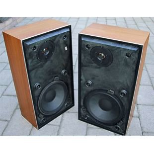 BeoVox S35